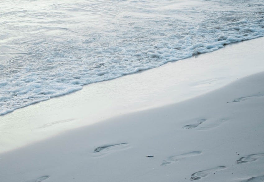snowfield snowfield