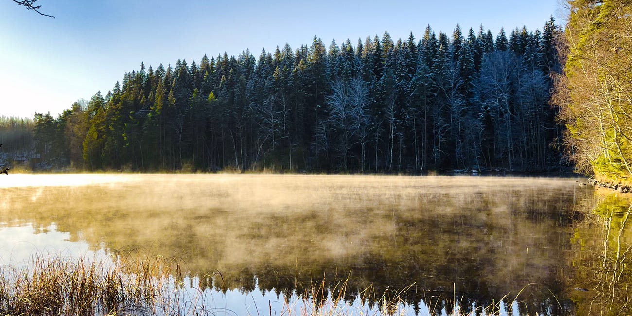 Through Cold Forests to the Warmth of the Fire