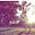 Bloom Boulevard's avatar