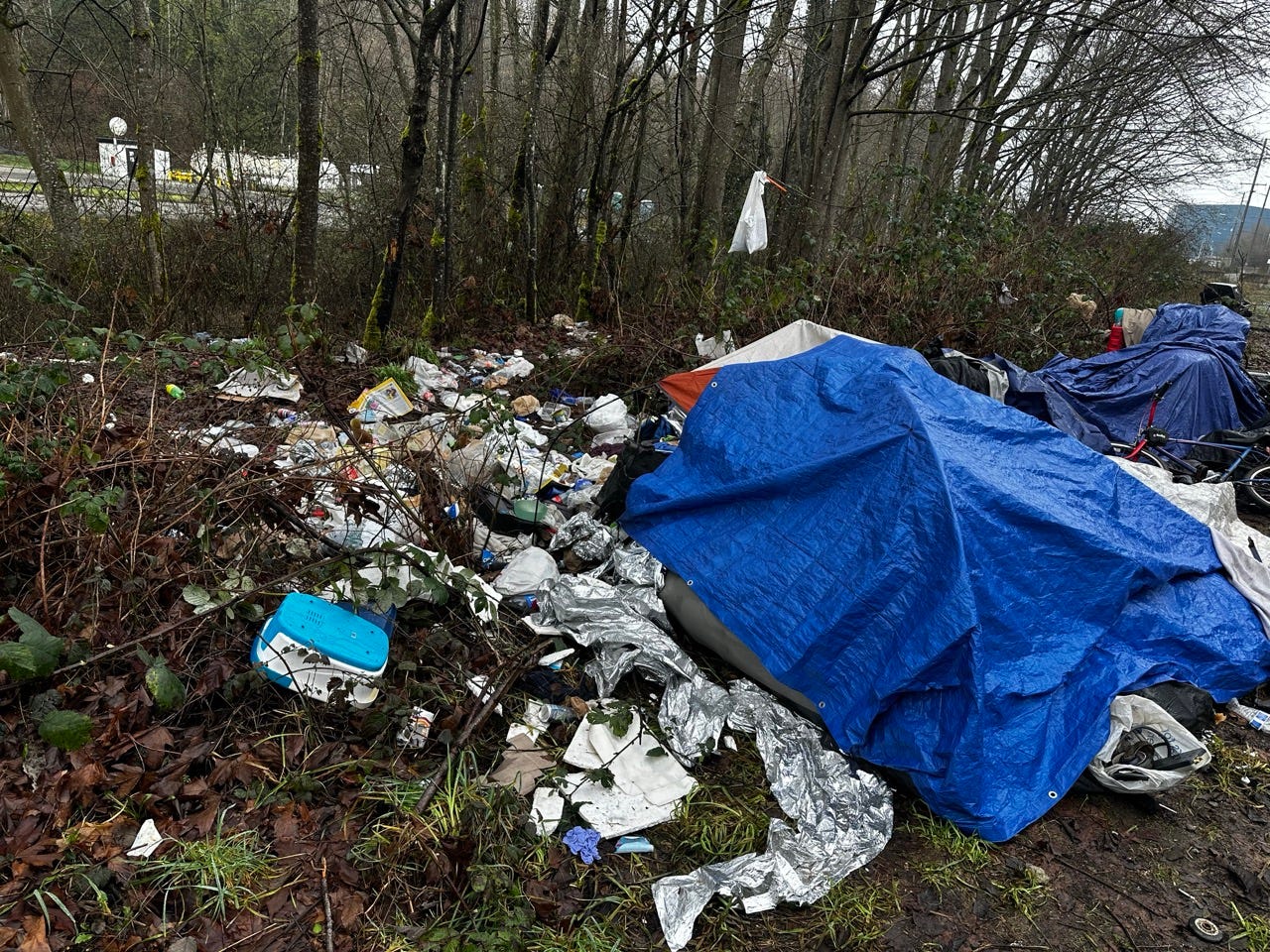 A pile of garbage in the woods

Description automatically generated