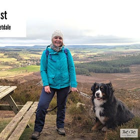 Wanderlust: Gorgeous Winter Escape to Coquetdale