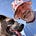 Andrew Sullivan's avatar