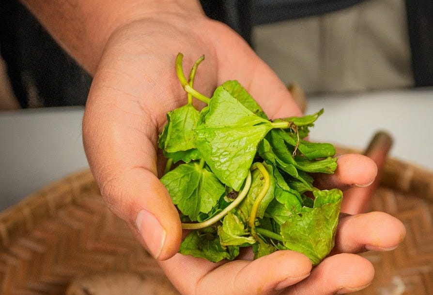 handful of pegaga