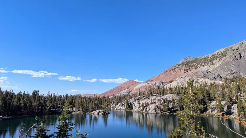 Mountains and evergreen trees reflecting in a lake