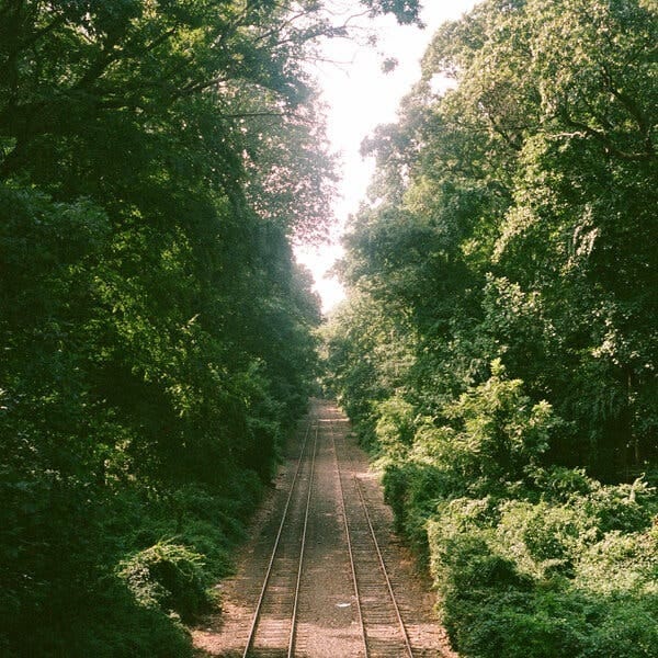 A photograph of train tracks, surrounded by lush greenery.