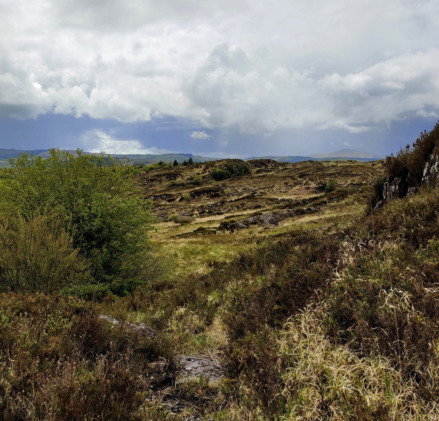 view across rugged land with distant mountain