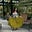 Tawny Lara's avatar