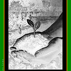 Two Archetype: Inversion