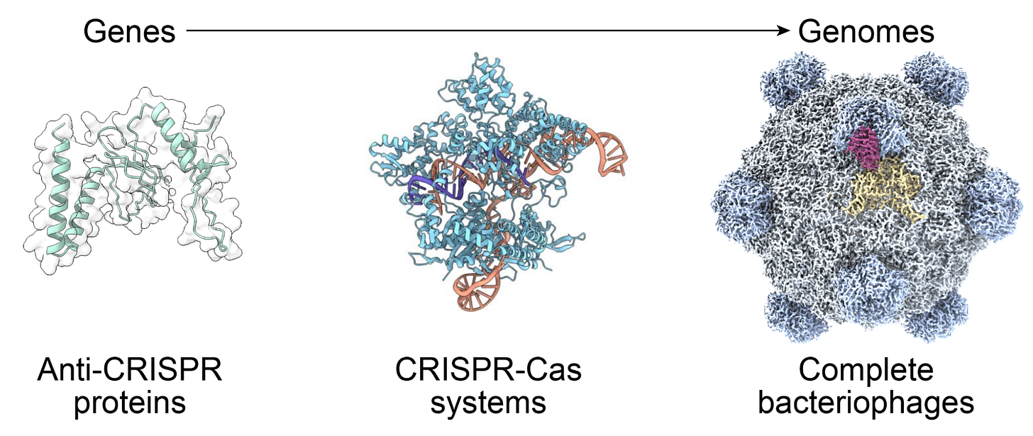 Going from designing individual genes to complete genomes is an incredibly challenging problem
