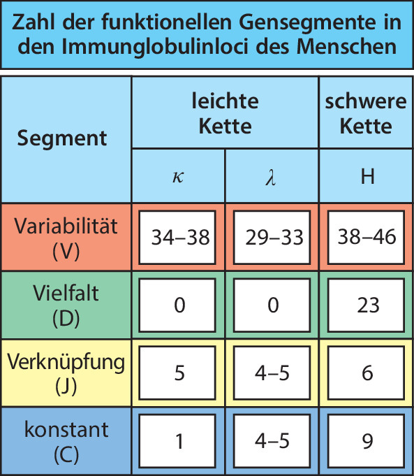 graphic file with name 978-3-662-56004-4_5_Fig4_HTML.jpg