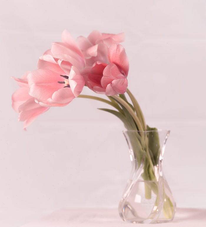 Delicate pink tulips elegantly arranged in a clear crystal vase.