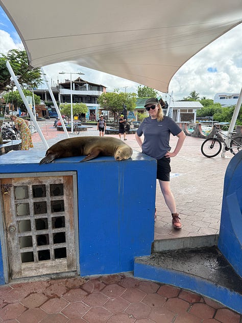 Animal pictures from the Galapagos