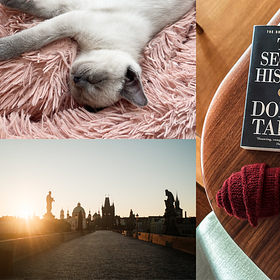 les souvenirs de ces derniers mois