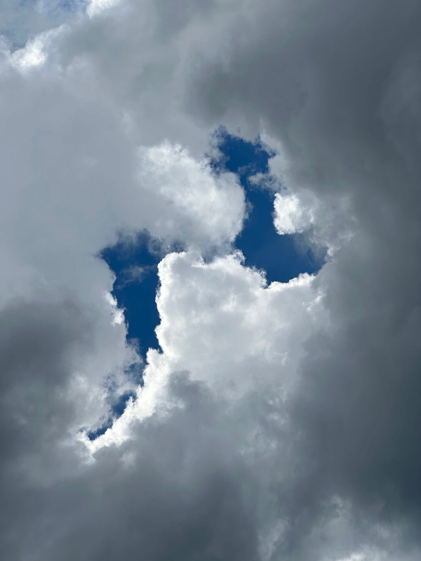clouds in shape of wings