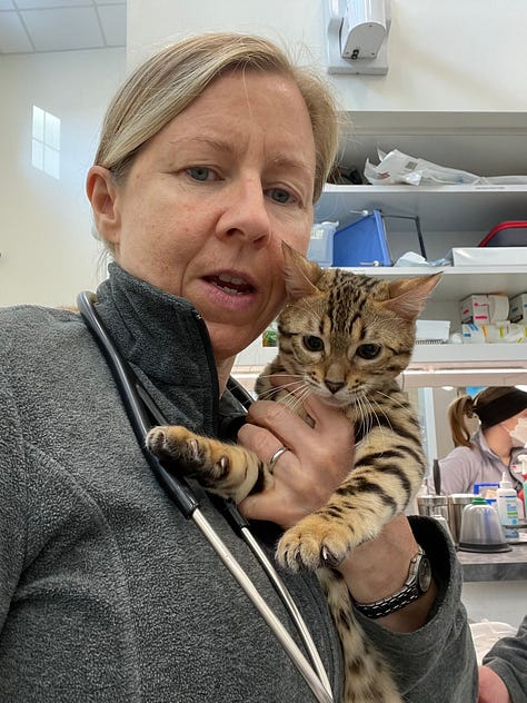 Dr. Melissa Magnuson with her patients