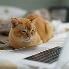 Blame It On the Memes