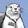 In Otter News