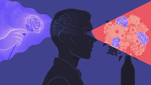 Memories Help Brains Recognize New ...