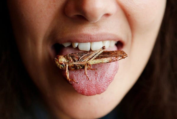 A picture of a woman's face from the nose down with her tongue sticking out. A dead insect lies on her tongue. 
