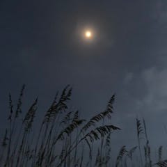 Courtney’s Substack