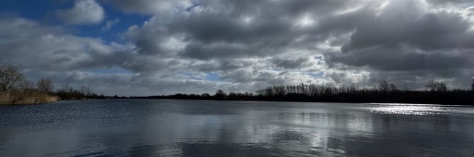 Naomi Ness' Substack