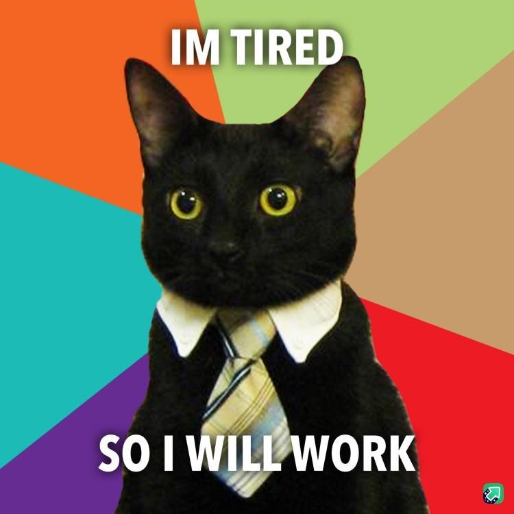 A WORKAHOLIC CAT - meme post - Imgur