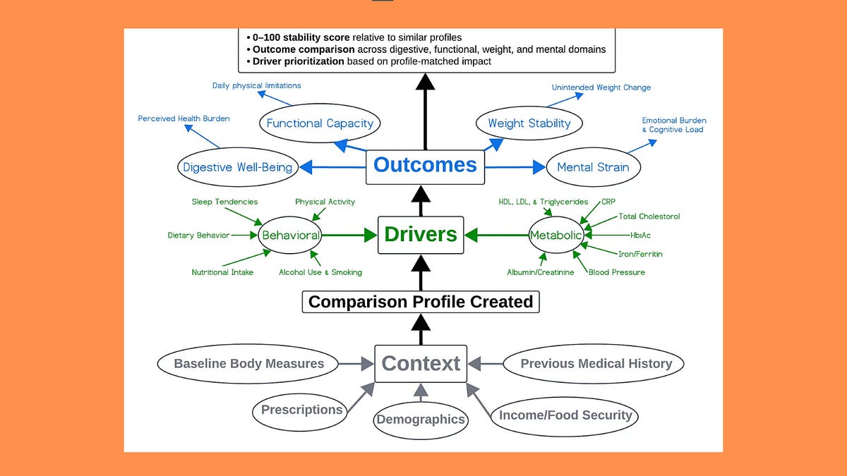 FPI Update #2: Building a Framework for Functional Performance