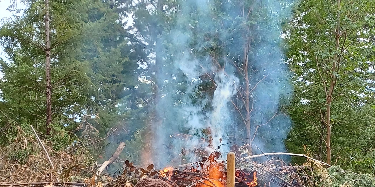 BONUS: Fire photos from Bellweather