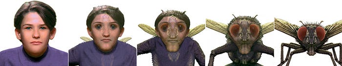 Boy_FlyMorph.jpg Boy_FlyMorph.jpg