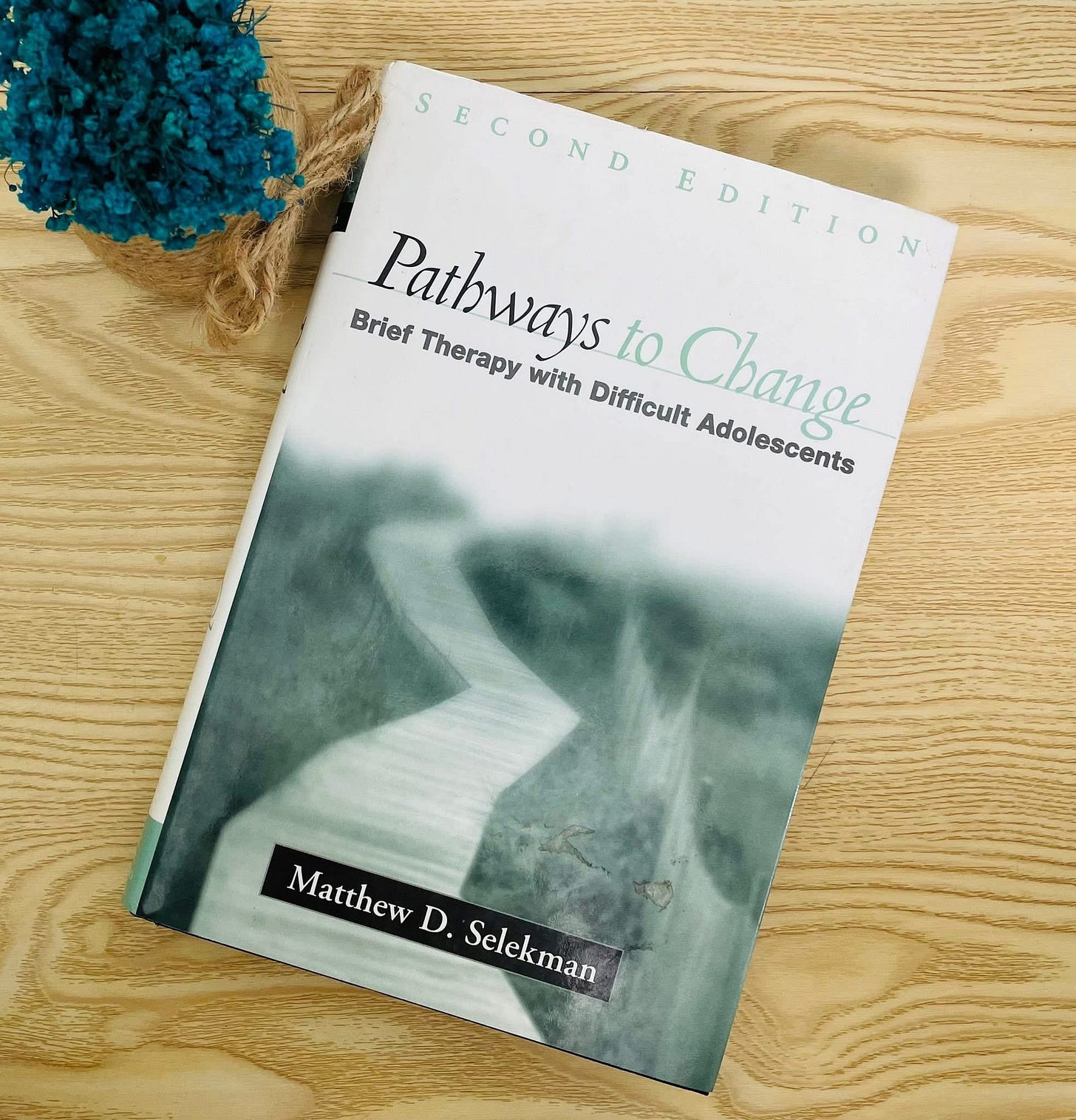 May be an image of text that says "SECOND SECOND EDITION Brief Therapy with Difficult Pathways to Change Adolescents Adolescents Matthew Matthew D. Selekman Selekman"