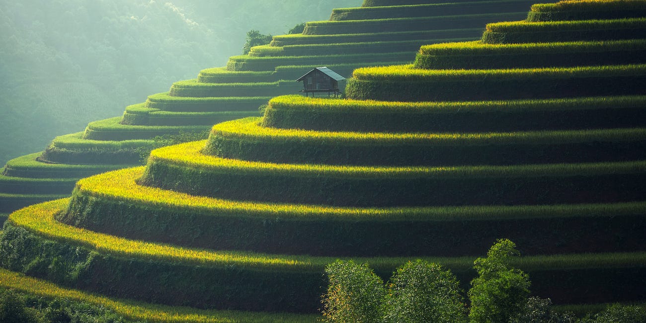Homeopathy & Agriculture