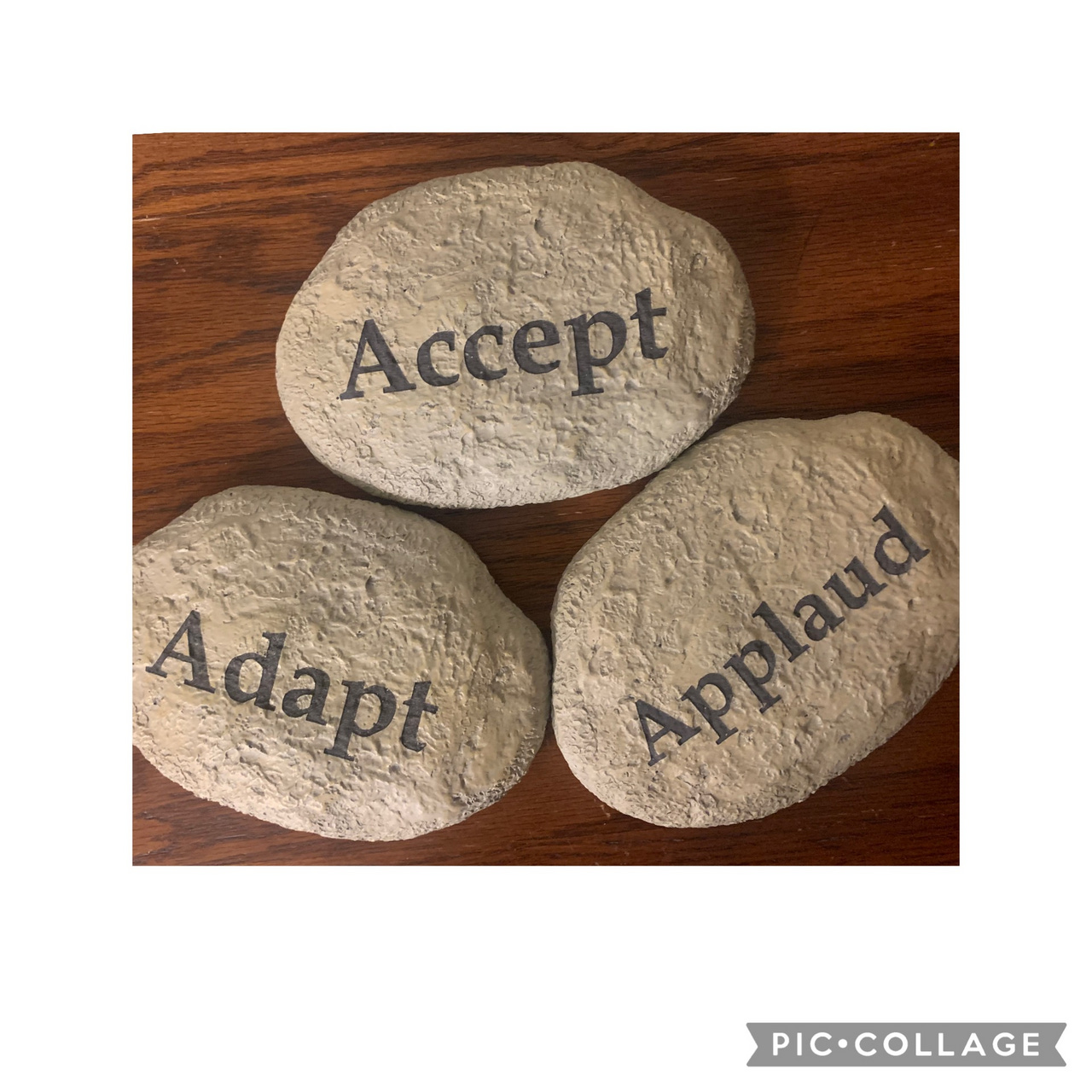 Accept•Adapt•Applaud