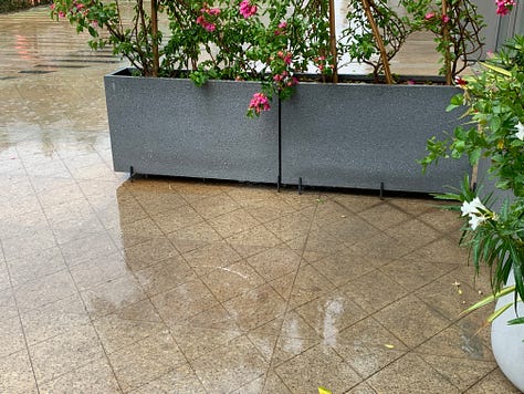 Spring Rains! © Jayshree Gururaj