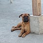 Argo's avatar