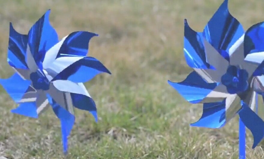 Blue Pinwheels Across Manatee County Mark Child Abuse Prevention Month and Call for Community Awareness