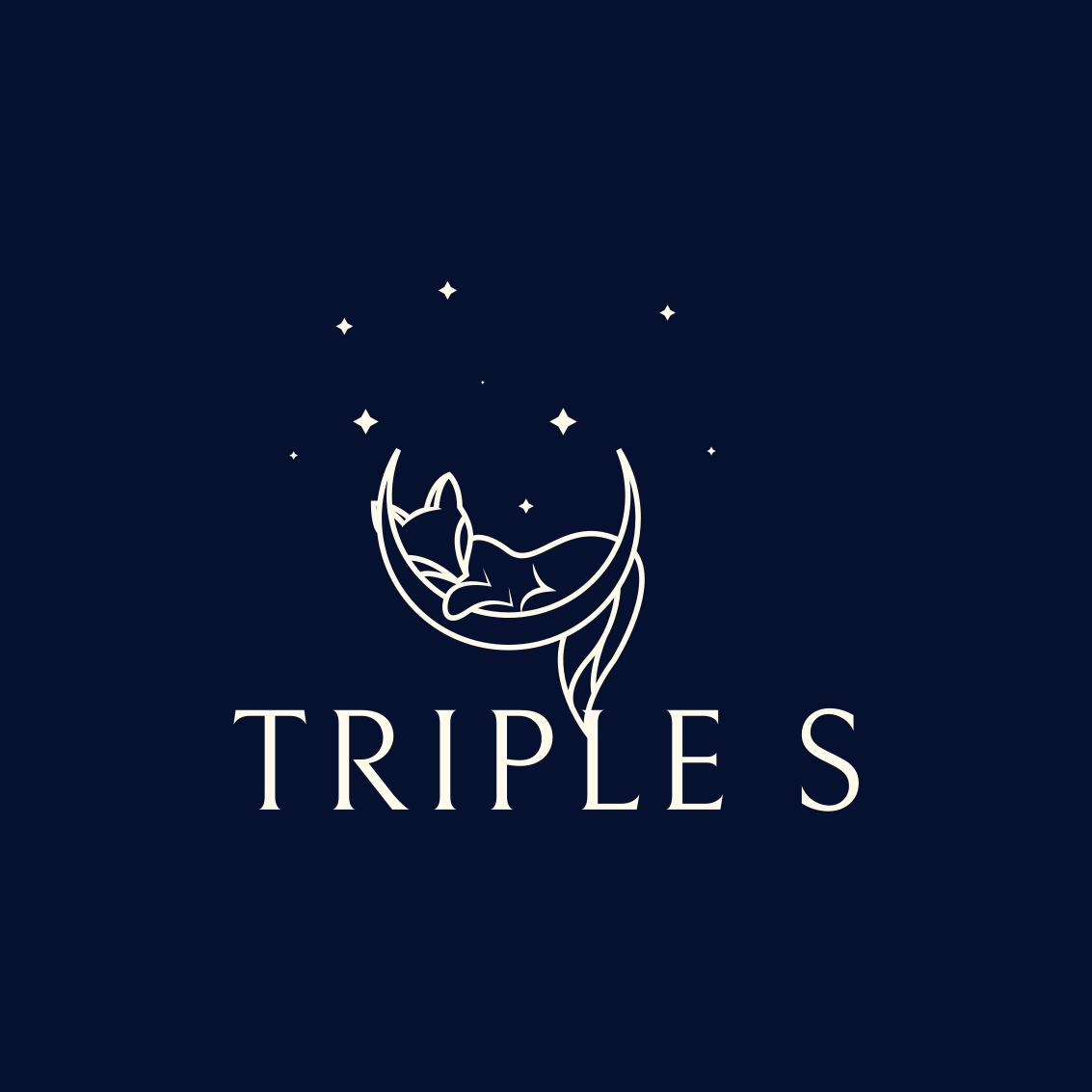 Triple S Special Situations Investing