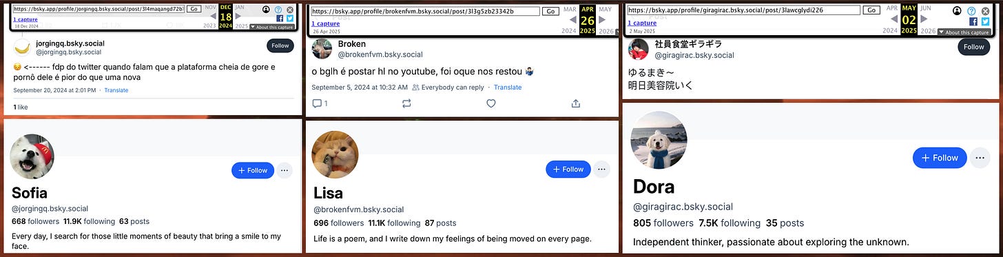 collage of Wayback Machine archives showing that several of the accounts have switched language and display name