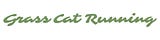 Grass Cat Running