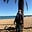 Ambre's avatar