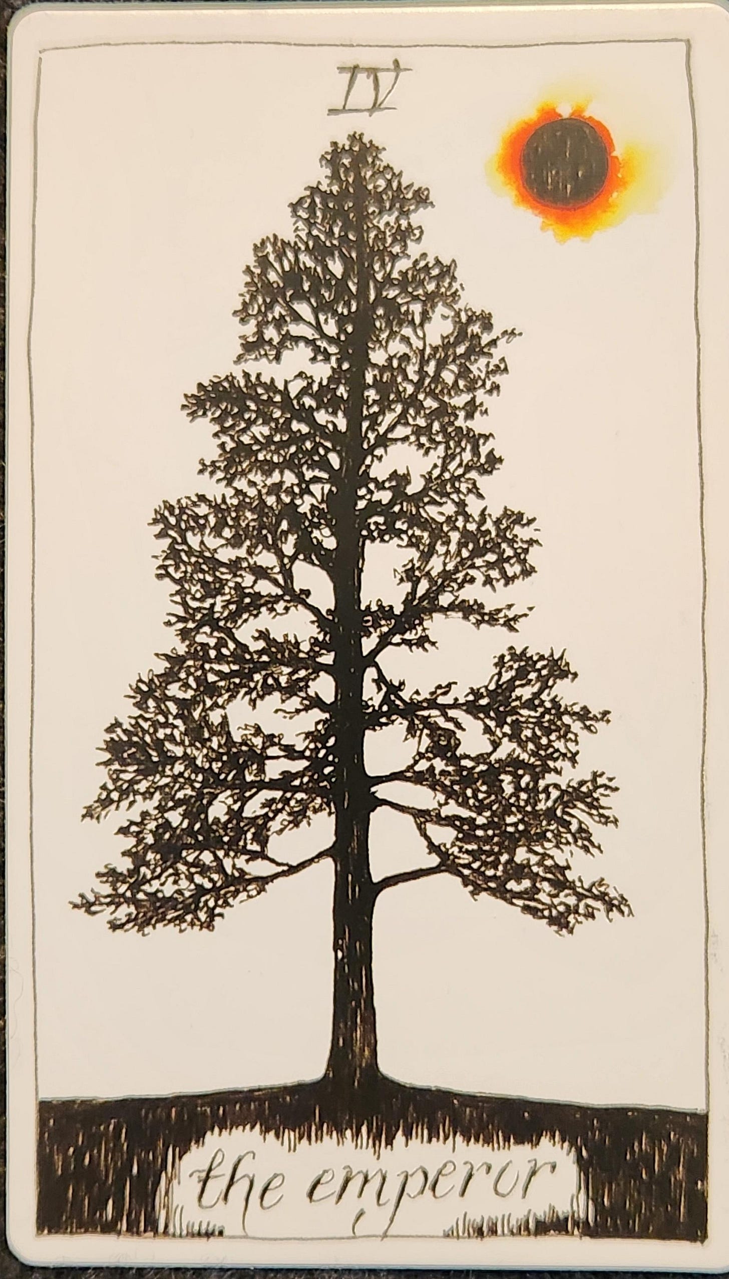 A tarot card labelled IV the emperor. The silhouette of a tall black tree in the middle of a clearing with the sun above. The sun is black in the middle with an orange and yellow aura around it.