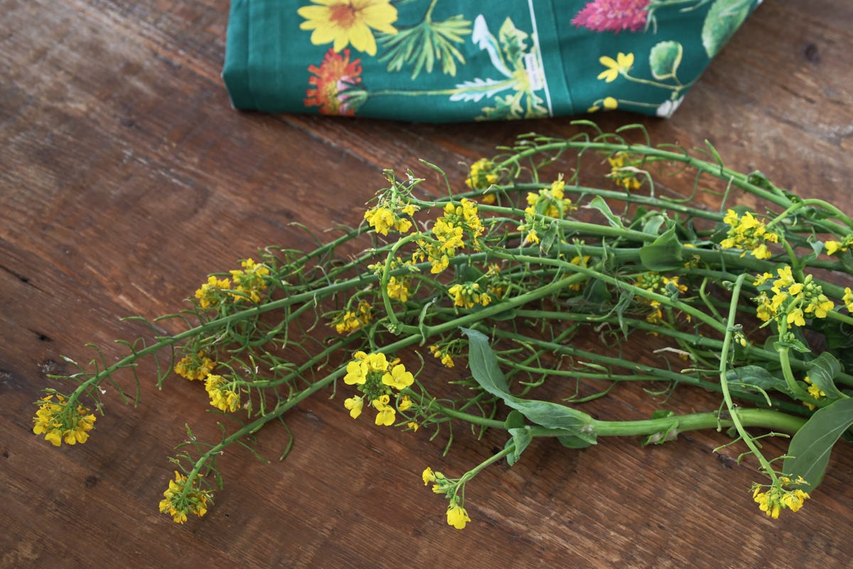 choy sum flowers on a table with an apron choy sum flowers on a table with an apron