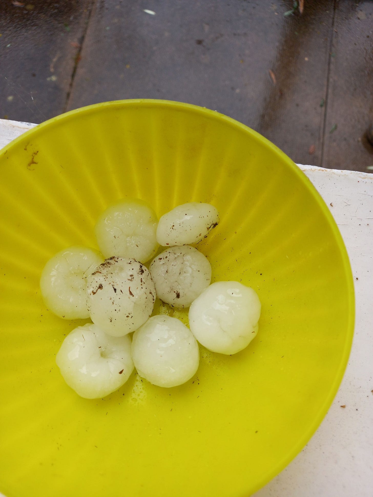 Peut être une image de longane