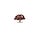 Kingdom Field Notes
