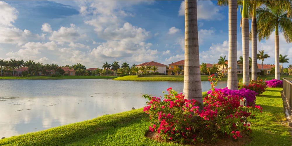 a landscaped area near a pond