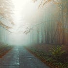 Ikigai Thought for Today: Between Mystery and Understanding