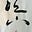Young Choi's avatar