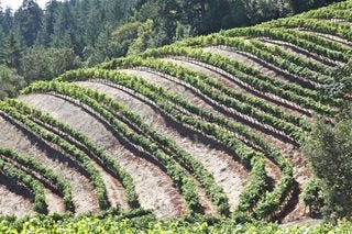 A - Rows on Mt A - Rows on Mt