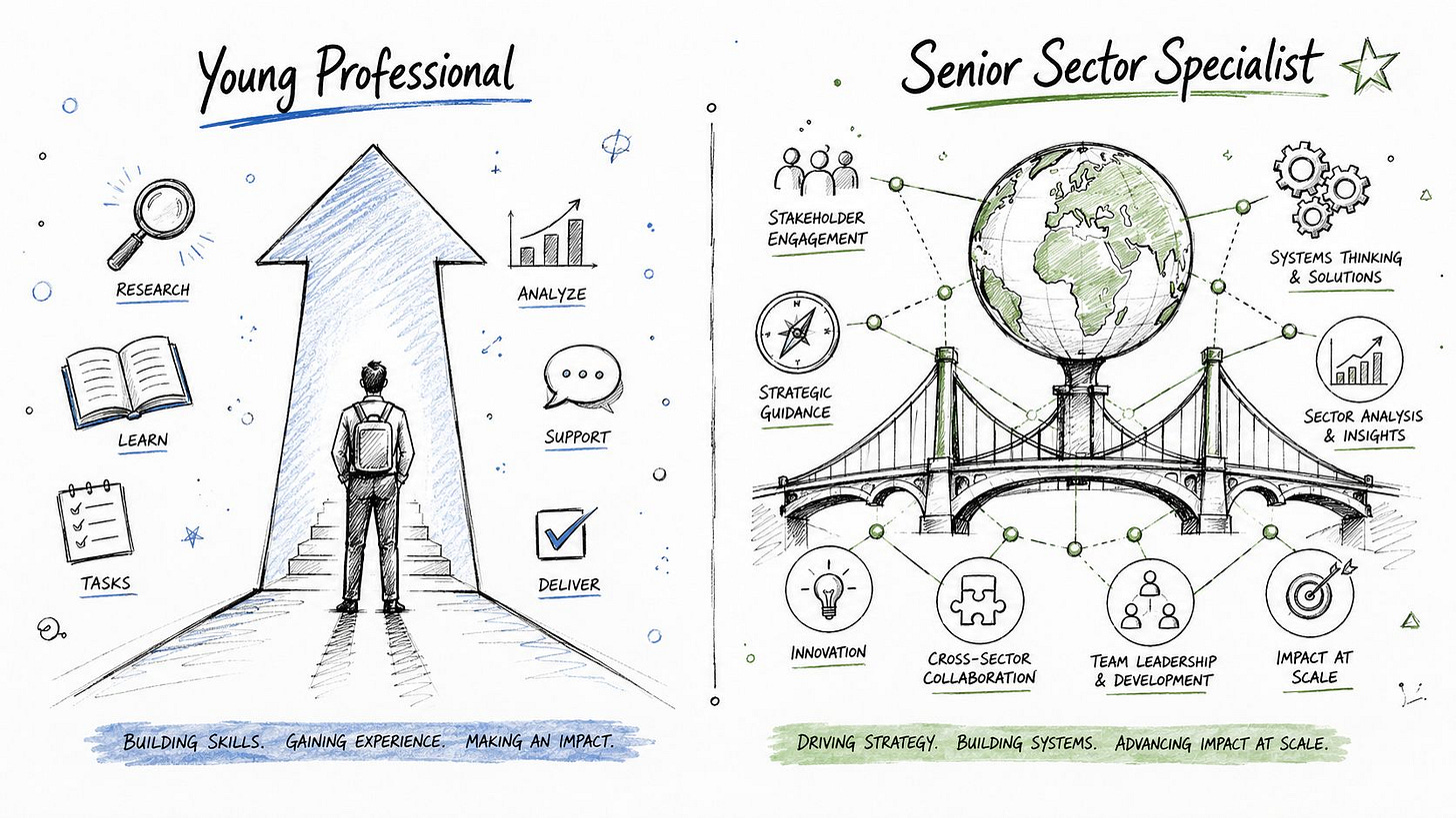 A hand-drawn illustration comparing career progression from a Young Professional to a Senior Sector Specialist. A hand-drawn illustration comparing career progression from a Young Professional to a Senior Sector Specialist.