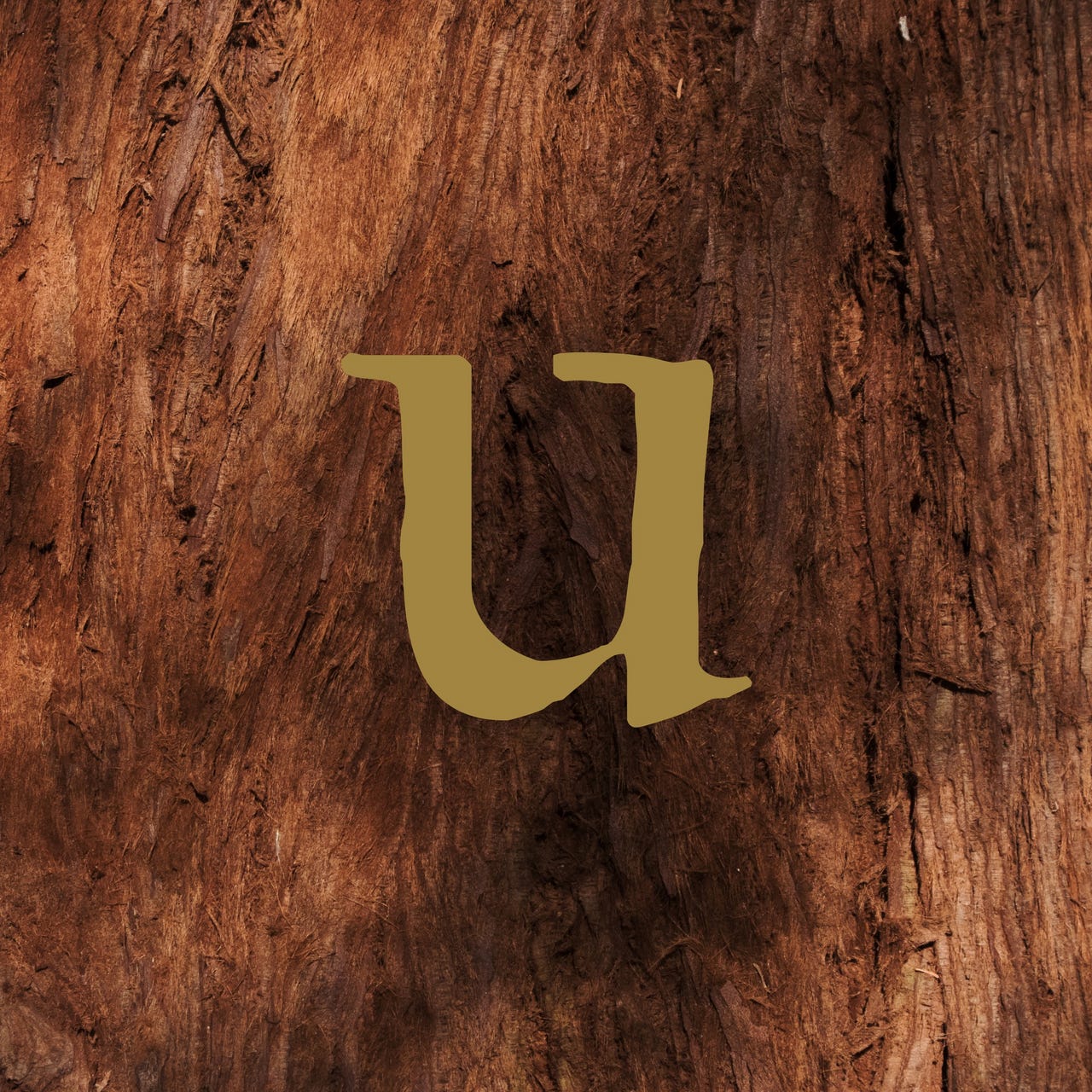 Substack profile picture for @unquenchable