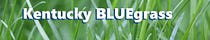 Kentucky BLUEgrass